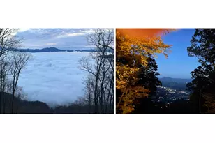 188 Bear Track Trail, Maggie Valley, NC 28751 - Photo 4