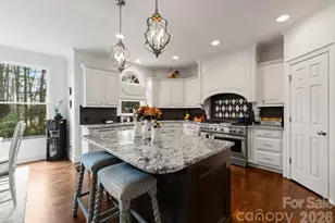 15705 Knox Hill Rd, Huntersville, NC 28078 - Photo 10