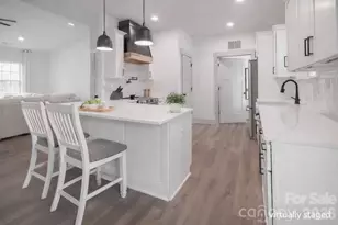 731 Miles Rd, Dallas, NC 28034 - Photo 14