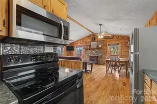 306 Forget Me Not Ln, Whittier, NC 28789 - Photo 8