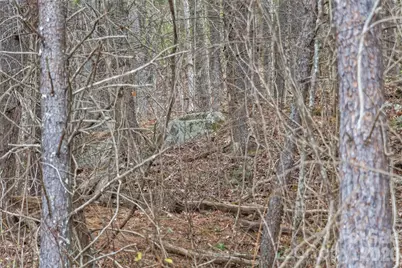 99999 Mountainbrook Road #2, Asheville, NC 28805 - Photo 8