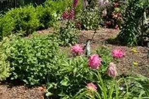 4027 Blossom Hill Dr, Weddington, NC 28104 - Photo 46