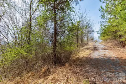 00 Crist View Drive #Lot 12, Marshall, NC 28753 - Photo 6