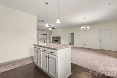 175 Cox Lake Road, Stanley, NC 28164 - Photo 28