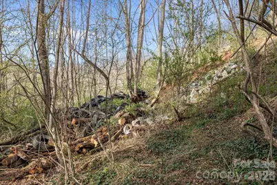 161 Pandora Circle, Canton, NC 28716 - Photo 28