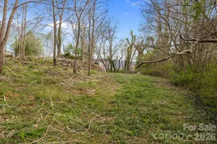 161 Pandora Cir, Canton, NC 28716 - Photo 14