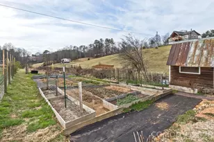 162 Pickens Rd, Weaverville, NC 28787 - Photo 34