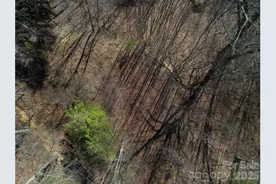 1165 Scenic Circle, Waynesville, NC 28786 - Photo 22