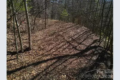 1165 Scenic Circle, Waynesville, NC 28786 - Photo 20