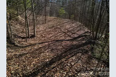 1165 Scenic Circle, Waynesville, NC 28786 - Photo 6