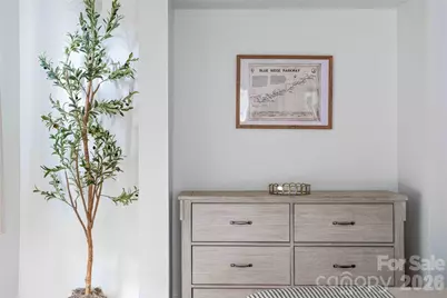 42 Furman Avenue, Asheville, NC 28801 - Photo 42