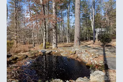 10 Dunnwoody Court, Arden, NC 28704 - Photo 40