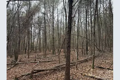 2431 Camp Creek Church Road, Mooresboro, NC 28114 - Photo 10