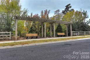 16805 Alydar Commons Ln, Charlotte, NC 28278 - Photo 42