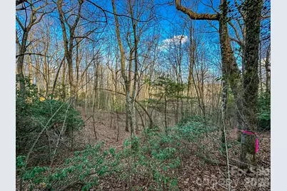 582 Faircrest Lane, Hendersonville, NC 28792 - Photo 46