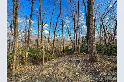 582 Faircrest Lane, Hendersonville, NC 28792 - Photo 34