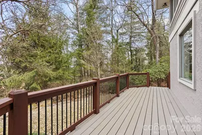 171 Old Hillside Lane, Flat Rock, NC 28731 - Photo 40