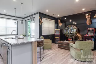 16629 Summers Walk Blvd, Davidson, NC 28036 - Photo 6