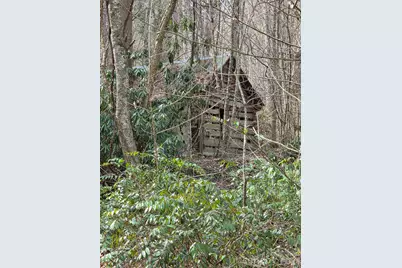 00 Laurel Branch Road, Waynesville, NC 28785 - Photo 6