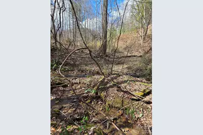 00 Laurel Branch Road, Waynesville, NC 28785 - Photo 2