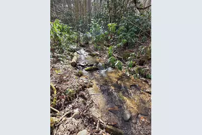 00 Laurel Branch Road, Waynesville, NC 28785 - Photo 14