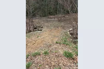 00 Laurel Branch Road, Waynesville, NC 28785 - Photo 12