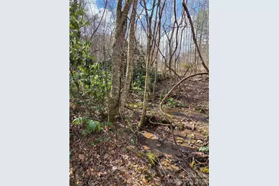 00 Laurel Branch Road, Waynesville, NC 28785 - Photo 8