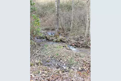 00 Laurel Branch Road, Waynesville, NC 28785 - Photo 10