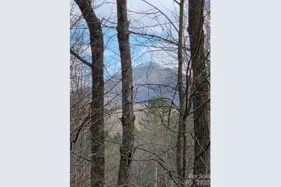 00 Laurel Branch Road, Waynesville, NC 28785 - Photo 4