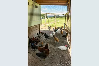 16 School House Road, Mills River, NC 28759 - Photo 44