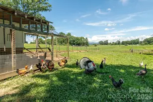 16 School House Rd, Mills River, NC 28759 - Photo 46