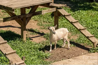 16 School House Road, Mills River, NC 28759 - Photo 42