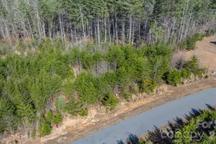 2804 Starlight Ln, Morganton, NC 28655 - Photo 20