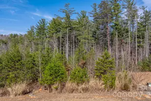 2804 Starlight Ln, Morganton, NC 28655 - Photo 18