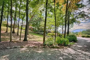 281 Jones Cove Rd, Asheville, NC 28805 - Photo 8