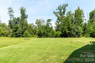 15133 High Bluff Ct, Charlotte, NC 28278 - Photo 46