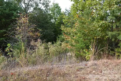 109 Ampersand Trail, Bostic, NC 28018 - Photo 2