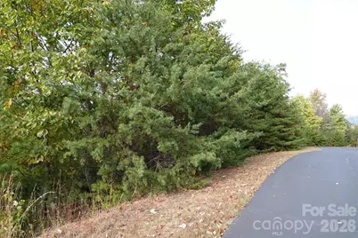 109 Ampersand Trail, Bostic, NC 28018 - Photo 4