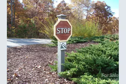 109 Ampersand Trail, Bostic, NC 28018 - Photo 20