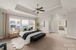 517 Belton St, Charlotte, NC 28209 - Photo 24