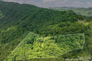 1160 High Rock Mountain Rd, Marshall, NC 28753 - Photo 6