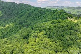 1160 High Rock Mountain Rd, Marshall, NC 28753 - Photo 24