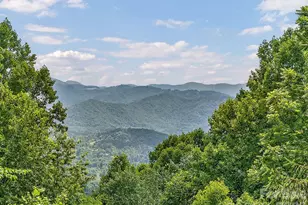 1160 High Rock Mountain Rd, Marshall, NC 28753 - Photo 4