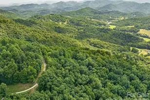 1160 High Rock Mountain Rd, Marshall, NC 28753 - Photo 22