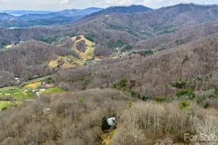 1160 High Rock Mountain Rd, Marshall, NC 28753 - Photo 38