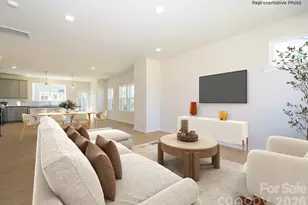 1144 Bismuth Ln, Charlotte, NC 28211 - Photo 2