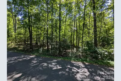 5.66 Acres Diane Road, York, SC 29745 - Photo 2