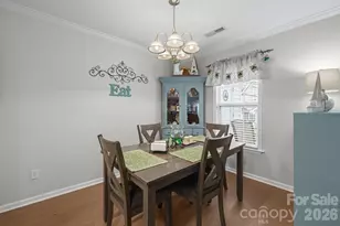 21153 Cold Spring Ln, Cornelius, NC 28031 - Photo 10