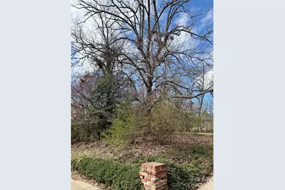 41 Maney Avenue, Asheville, NC 28804 - Photo 6