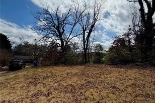 41 Maney Ave, Asheville, NC 28804 - Photo 1